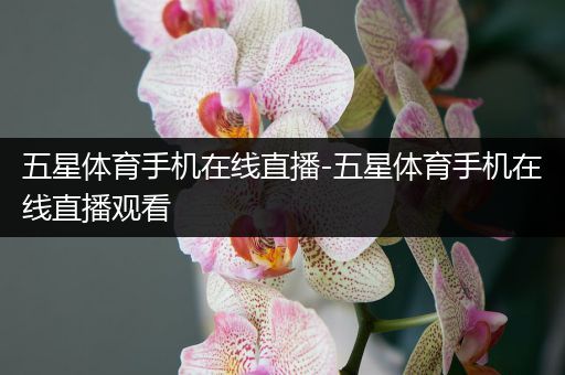 五星体育手机在线直播-五星体育手机在线直播观看