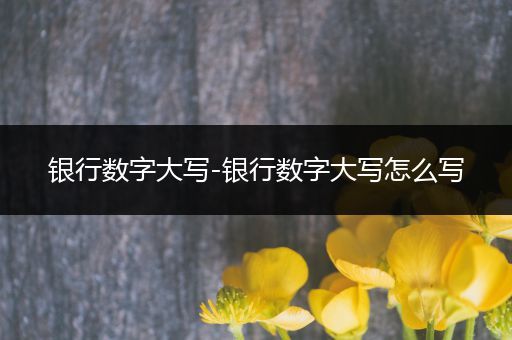 银行数字大写-银行数字大写怎么写