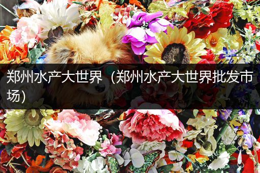 郑州水产大世界(郑州水产大世界批发市场)