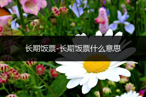 长期饭票-长期饭票什么意思