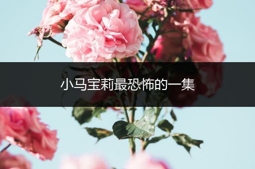 小马宝莉最恐怖的一集