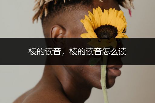 棱的读音,棱的读音怎么读