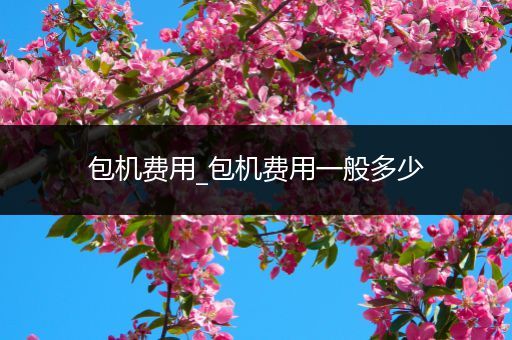 包机费用_包机费用一般多少