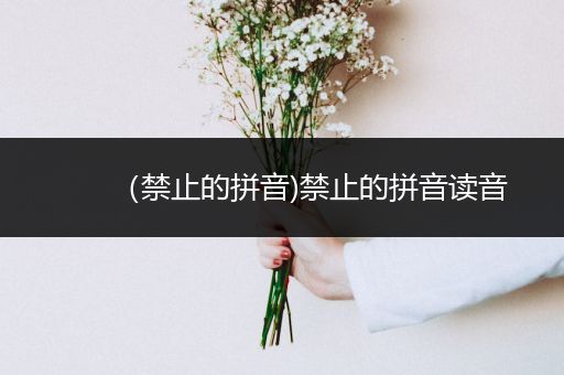 (禁止的拼音)禁止的拼音读音