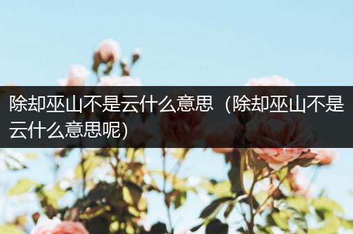 除却巫山不是云什么意思(除却巫山不是云什么意思呢)