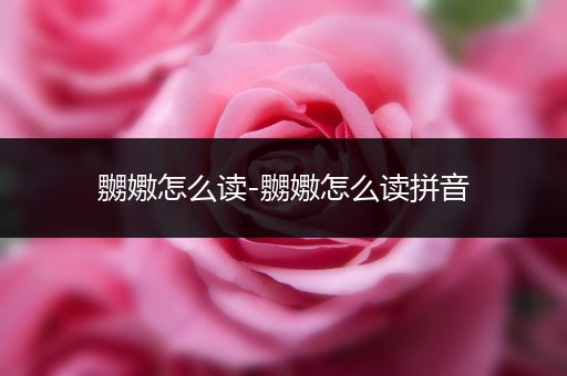 嬲嫐怎么读-嬲嫐怎么读拼音