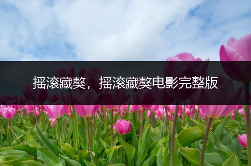 摇滚藏獒,摇滚藏獒电影完整版