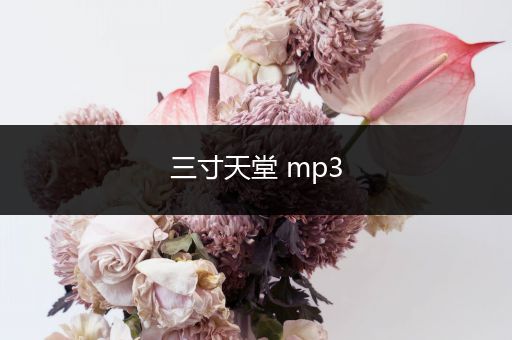 三寸天堂 mp3