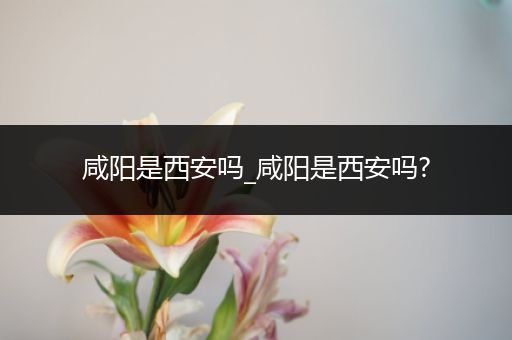 咸阳是西安吗_咸阳是西安吗?
