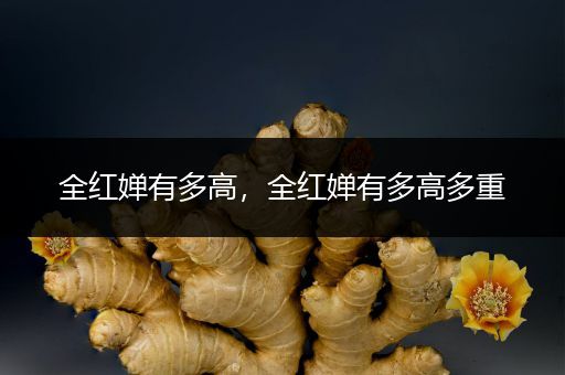 全红婵有多高,全红婵有多高多重