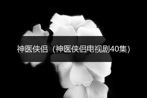 神医侠侣(神医侠侣电视剧40集)