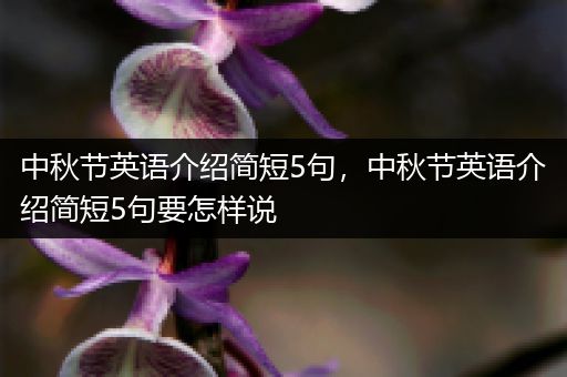中秋节英语介绍简短5句,中秋节英语介绍简短5句要怎样说
