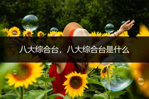 八大综合台,八大综合台是什么