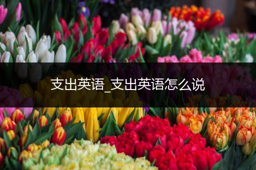 支出英语_支出英语怎么说