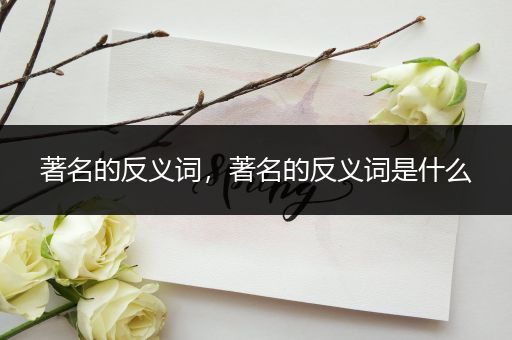 著名的反义词,著名的反义词是什么