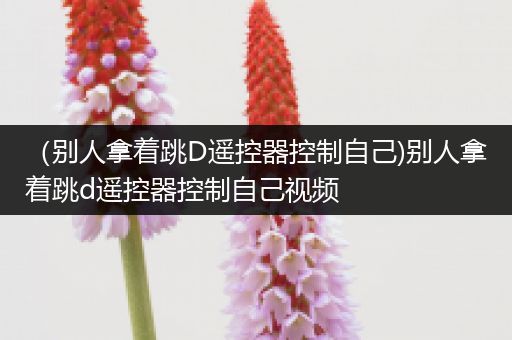 (别人拿着跳D遥控器控制自己)别人拿着跳d遥控器控制自己视频