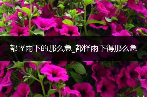 都怪雨下的那么急_都怪雨下得那么急