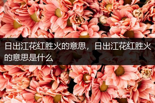 日出江花红胜火的意思,日出江花红胜火的意思是什么