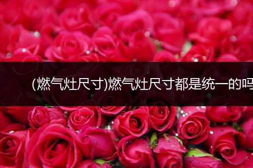 (燃气灶尺寸)燃气灶尺寸都是统一的吗