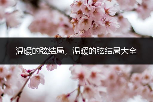 温暖的弦结局,温暖的弦结局大全