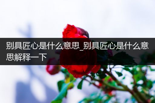 别具匠心是什么意思_别具匠心是什么意思解释一下