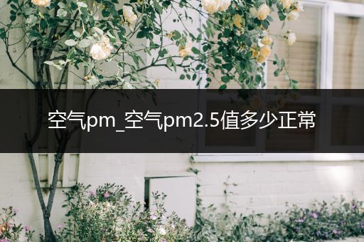 空气pm_空气pm2.5值多少正常