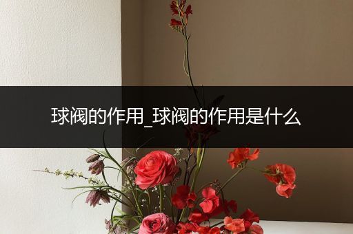 球阀的作用_球阀的作用是什么