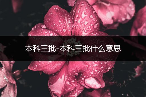 本科三批-本科三批什么意思