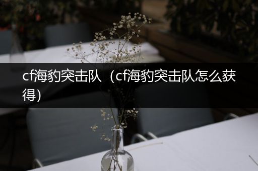 cf海豹突击队(cf海豹突击队怎么获得)