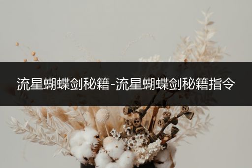 流星蝴蝶剑秘籍-流星蝴蝶剑秘籍指令