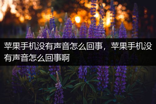 苹果手机没有声音怎么回事,苹果手机没有声音怎么回事啊