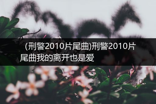 (刑警2010片尾曲)刑警2010片尾曲我的离开也是爱
