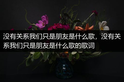 没有关系我们只是朋友是什么歌,没有关系我们只是朋友是什么歌的歌词