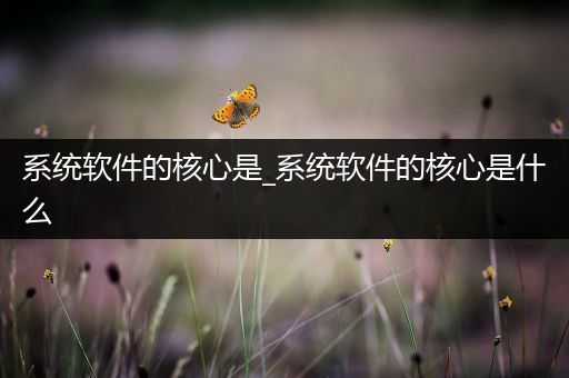 系统软件的核心是_系统软件的核心是什么