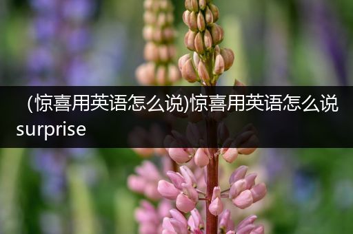 (惊喜用英语怎么说)惊喜用英语怎么说surprise