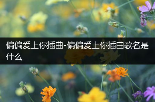 偏偏爱上你插曲-偏偏爱上你插曲歌名是什么