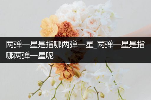 两弹一星是指哪两弹一星_两弹一星是指哪两弹一星呢