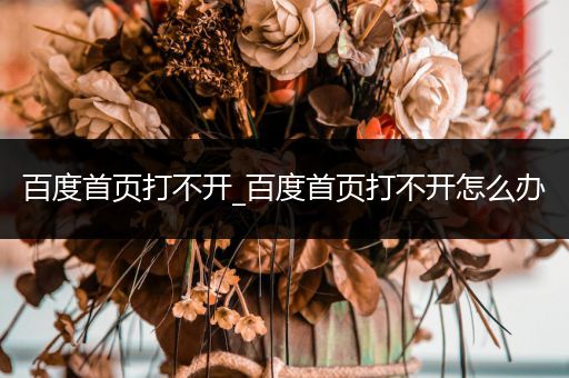 百度首页打不开_百度首页打不开怎么办