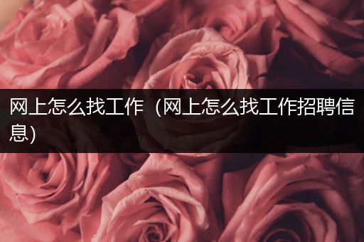 网上怎么找工作(网上怎么找工作招聘信息)