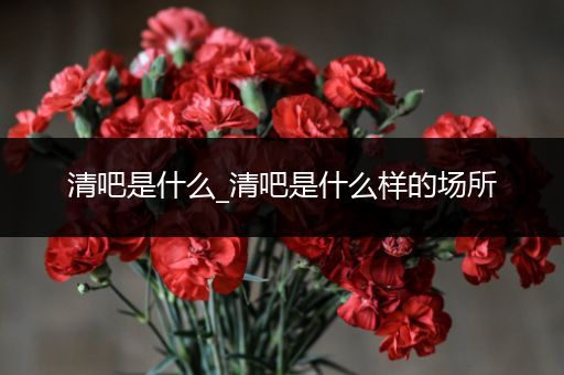 清吧是什么_清吧是什么样的场所