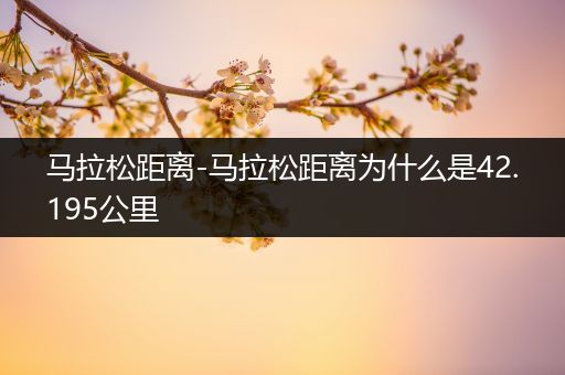 马拉松距离-马拉松距离为什么是42.195公里