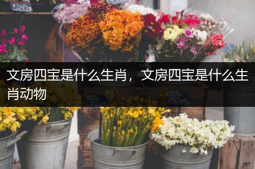 文房四宝是什么生肖,文房四宝是什么生肖动物