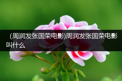 (周润发张国荣电影)周润发张国荣电影叫什么