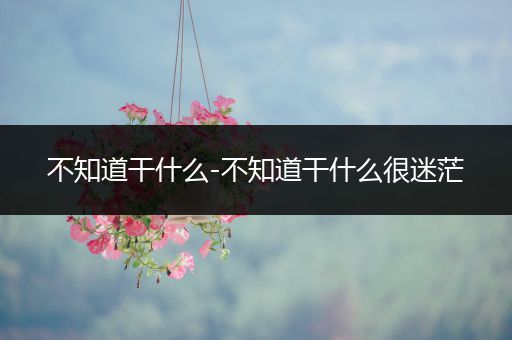 不知道干什么-不知道干什么很迷茫
