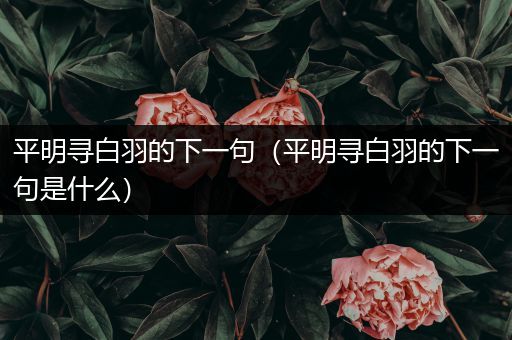 平明寻白羽的下一句(平明寻白羽的下一句是什么)