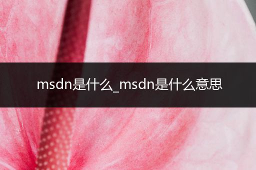 msdn是什么_msdn是什么意思