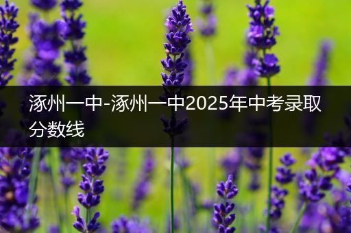 涿州一中-涿州一中2025年中考录取分数线