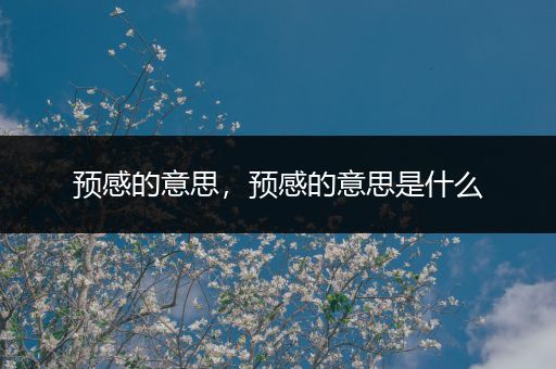 预感的意思,预感的意思是什么