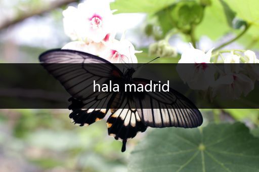 hala madrid