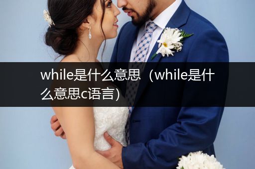 while是什么意思(while是什么意思c语言)